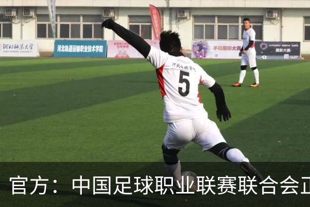 官方：中国足球职业联赛联合会正式成立